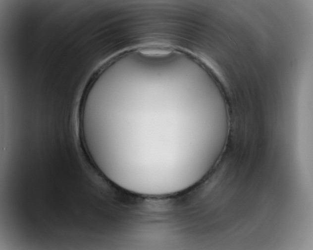 X0000089870840200707121753
