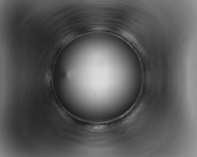 X0000089870841200707121753