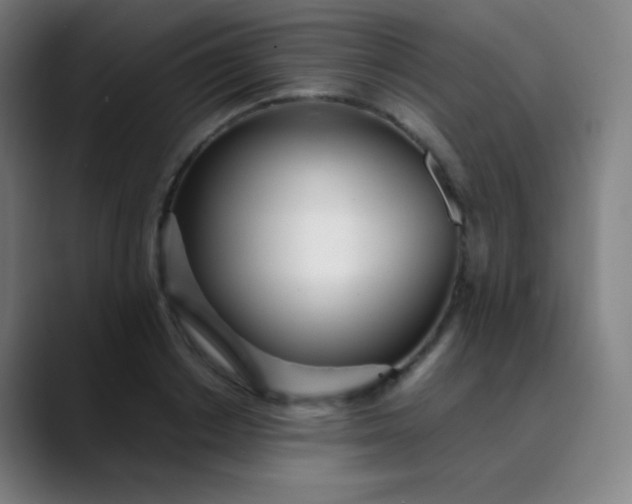 X0000089870842200707121753