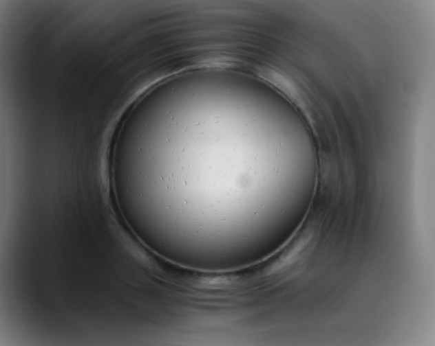 X0000089870843200707121753