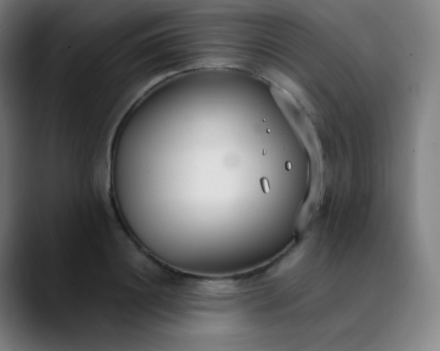 X0000089870844200707121753