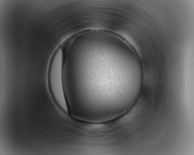 X0000089870845200707121753