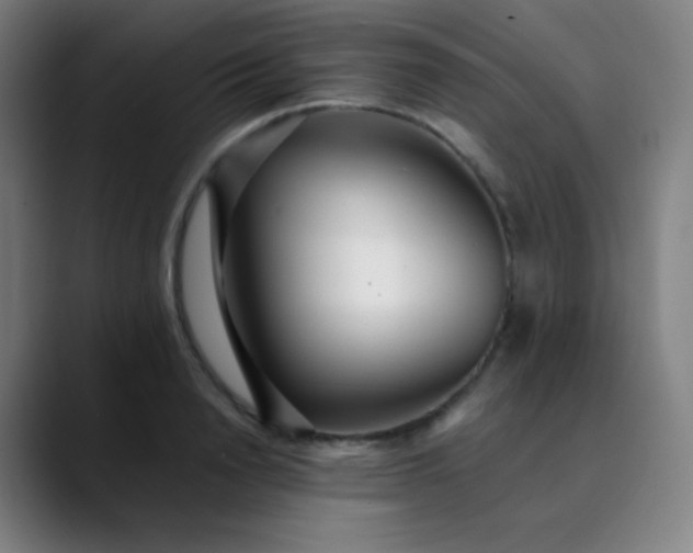 X0000089870846200707121753