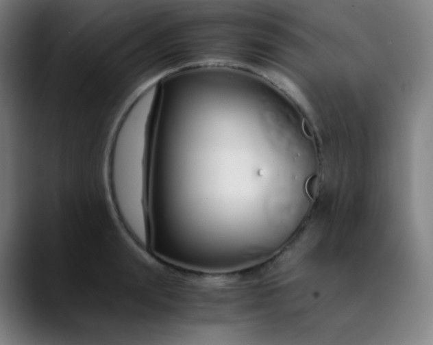 X0000089870847200707121753