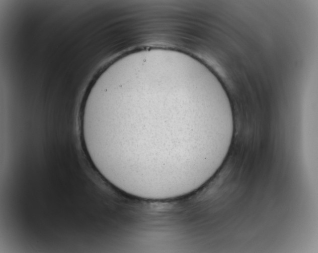 X0000089870848200707121753