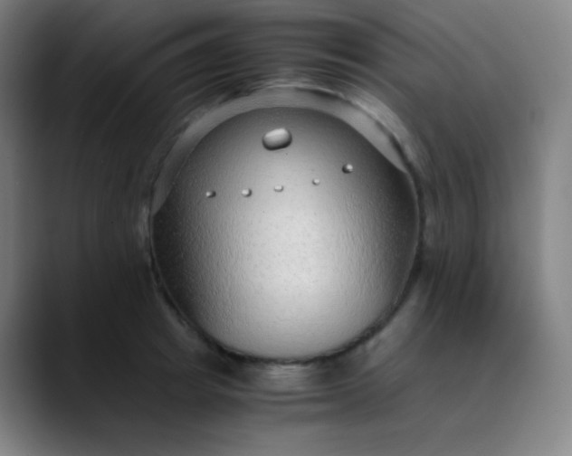 X0000089870849200707121753