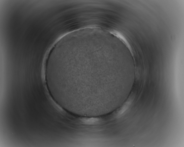 X0000089870851200707121753