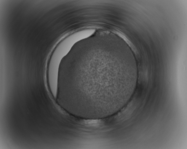 X0000089870853200707121753