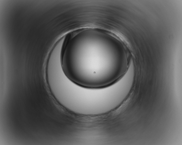X0000089870854200707121753