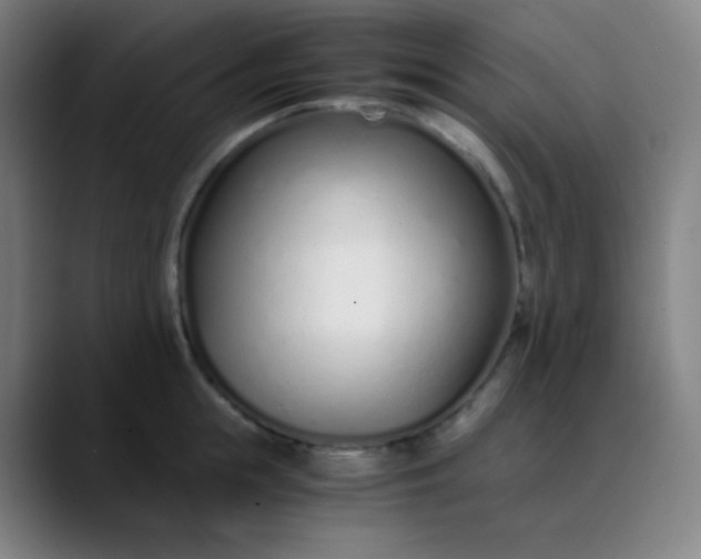 X0000089870855200707121753