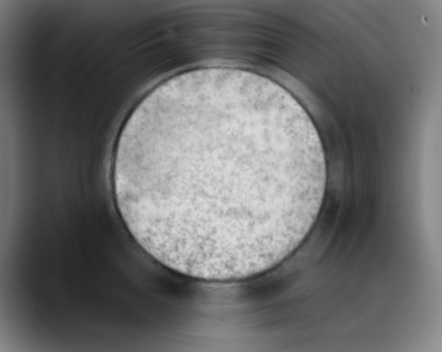 X0000089870856200707121753