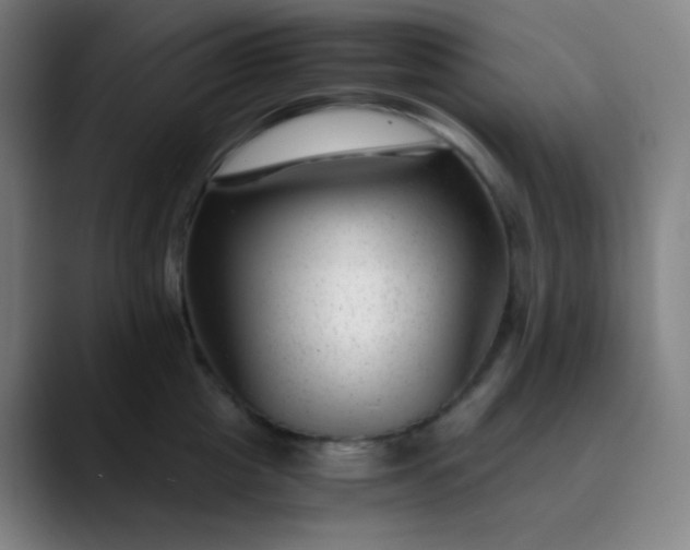 X0000089870857200707121753