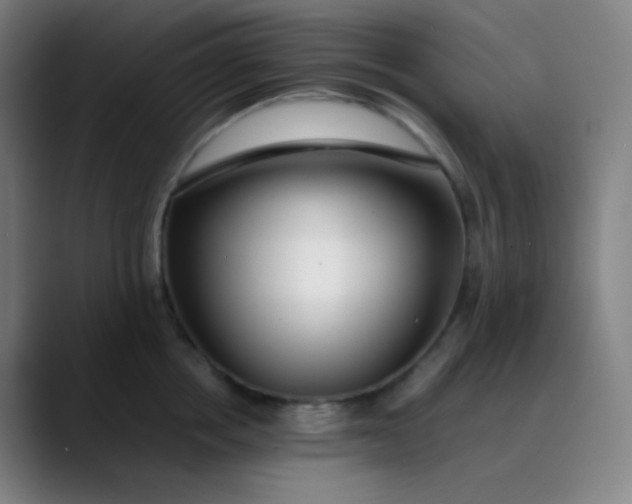 X0000089870858200707121753
