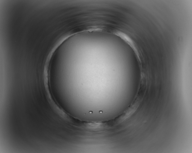 X0000089870859200707121753