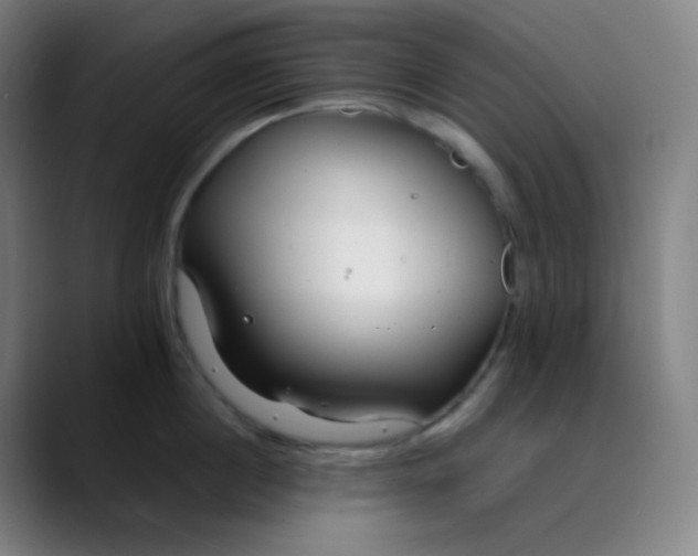 X0000089870860200707121753