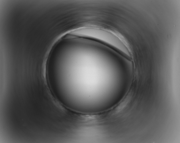 X0000089870862200707121753