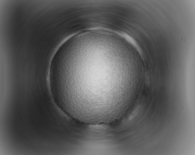 X0000089870863200707121753