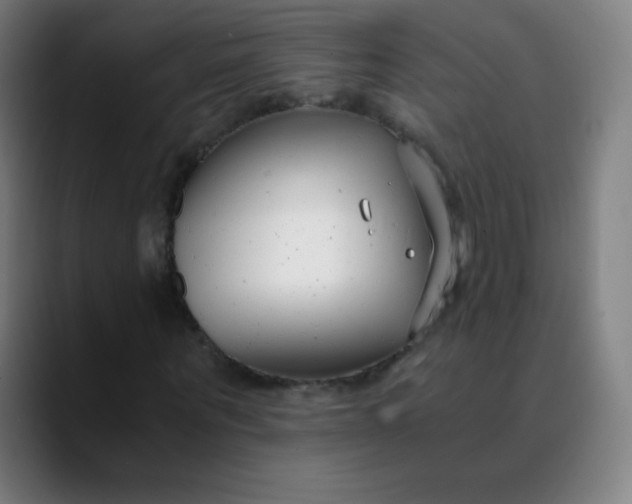 X0000089870867200707121752