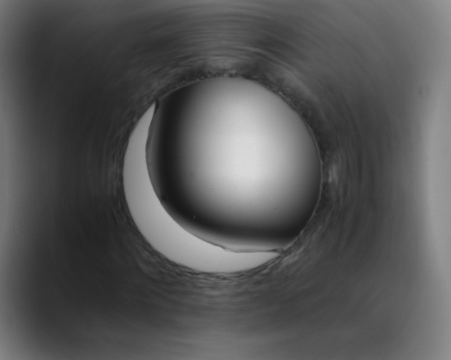 X0000089870868200707121752
