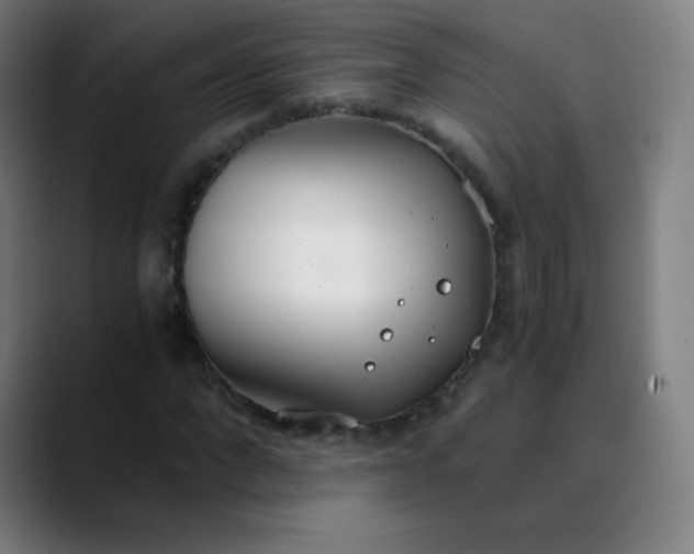X0000089870872200707121752