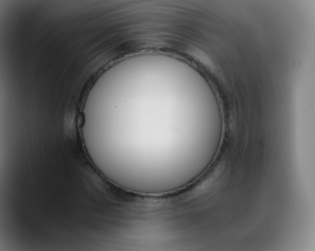 X0000089870873200707121752