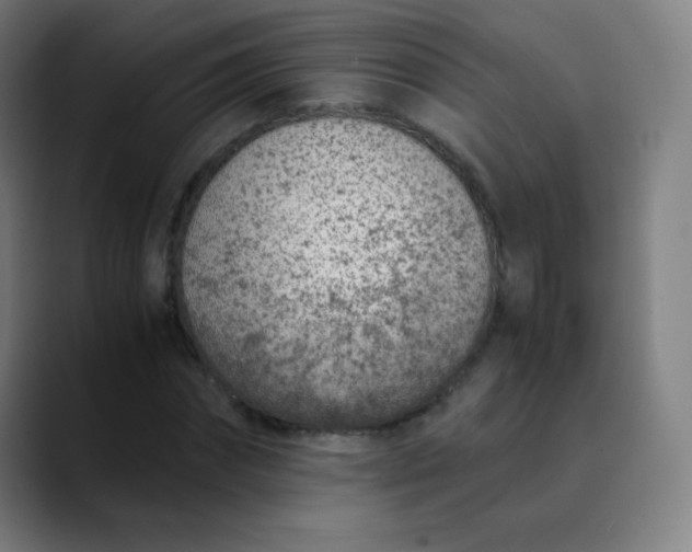 X0000089870874200707121752