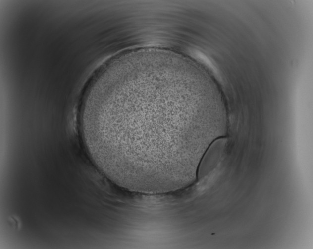 X0000089870875200707121752