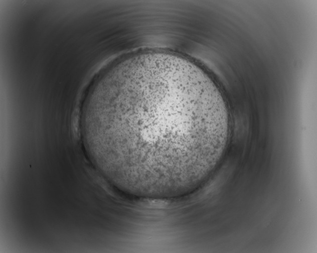 X0000089870878200707121752