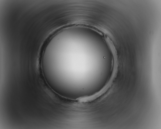 X0000089870880200707121752