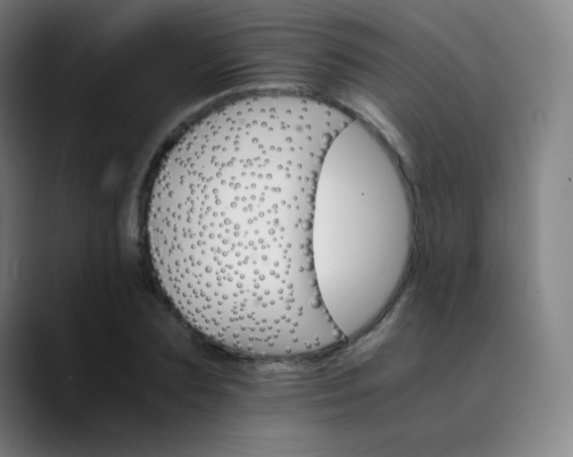 X0000089870883200707121752