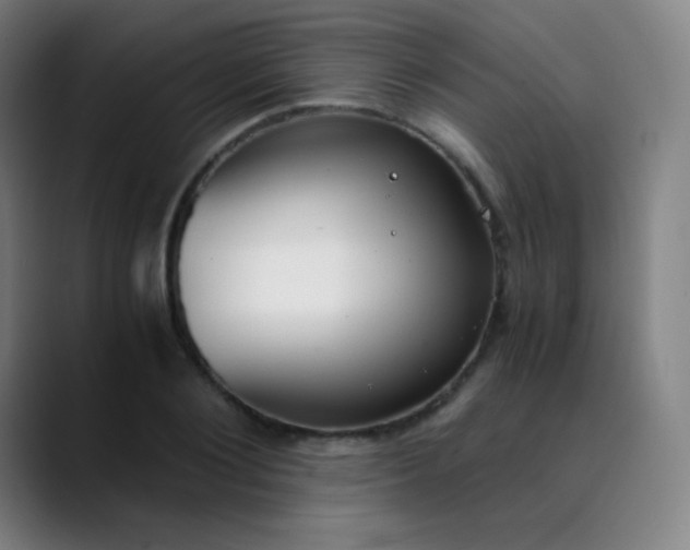 X0000089870884200707121752