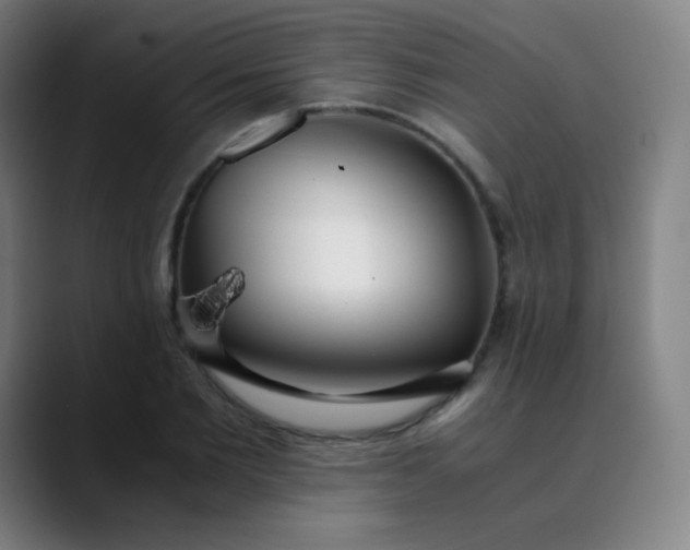 X0000089870885200707121752