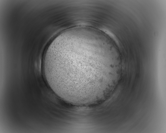 X0000089870886200707121752
