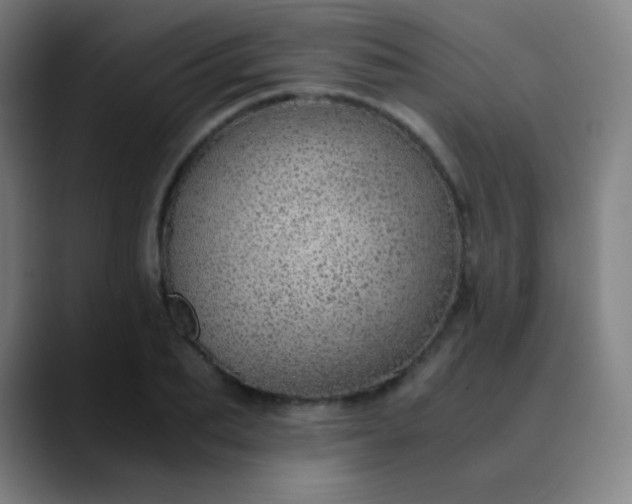 X0000089870887200707121752