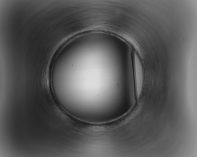 X0000089870888200707121752