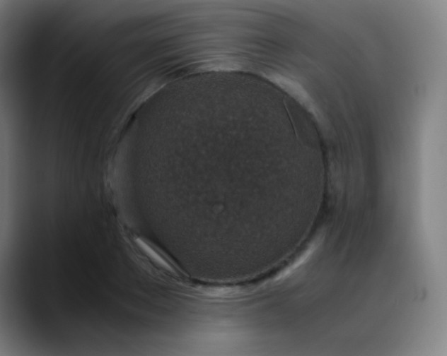 X0000089870889200707121752