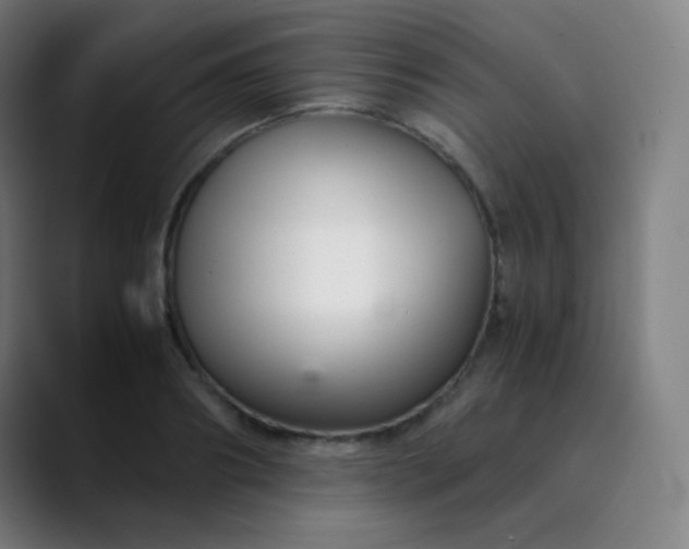 X0000089870890200707121752