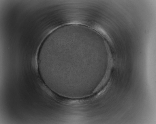 X0000089870892200707121752