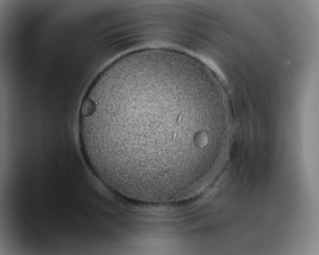 X0000089870895200707121752