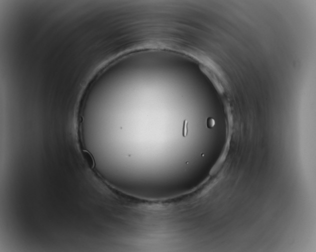 X0000089870896200707121752