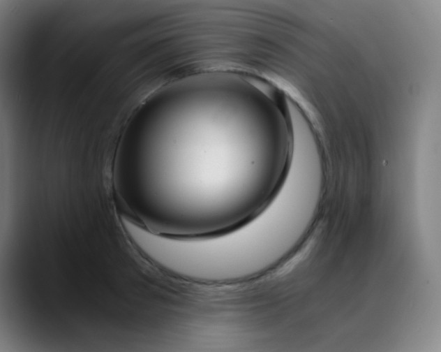 X0000089870897200707121752
