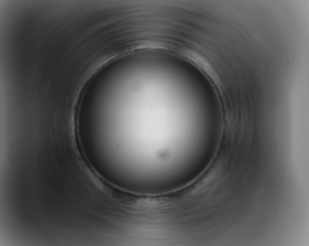 X0000089870898200707121752