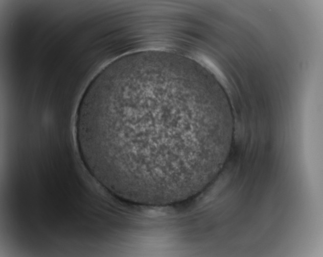 X0000089870899200707121752