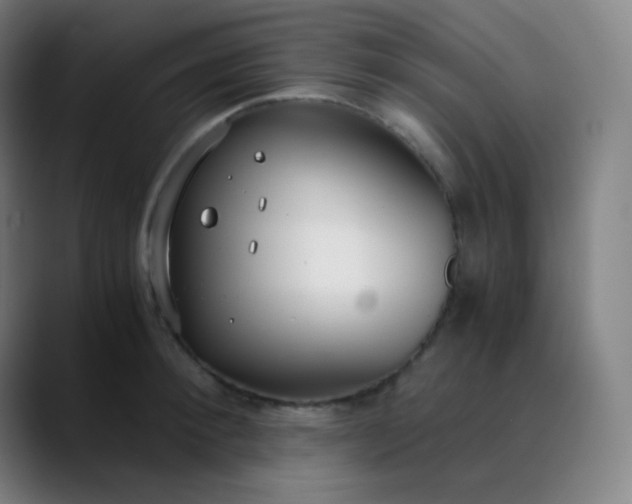 X0000089870900200707121752