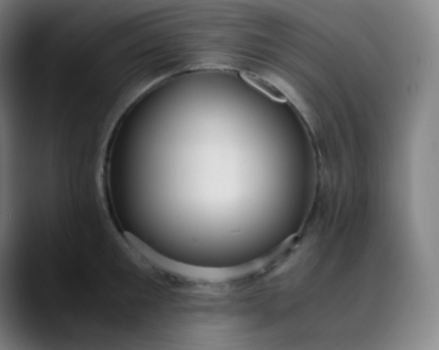 X0000089870901200707121752