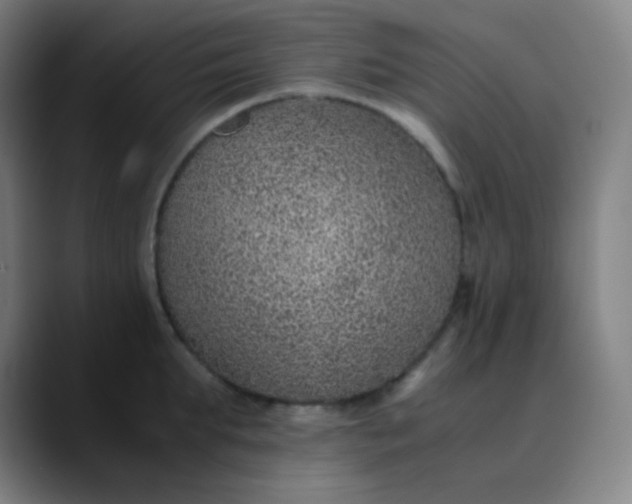 X0000089870903200707121752