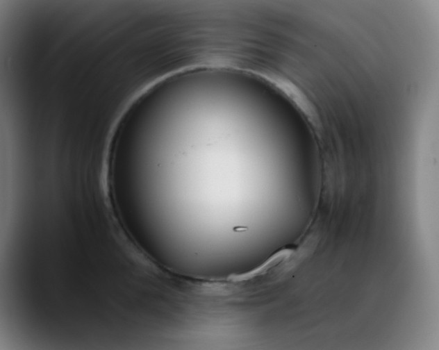 X0000089870904200707121752