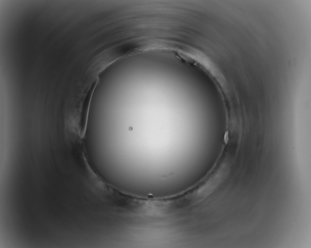 X0000089870905200707121752