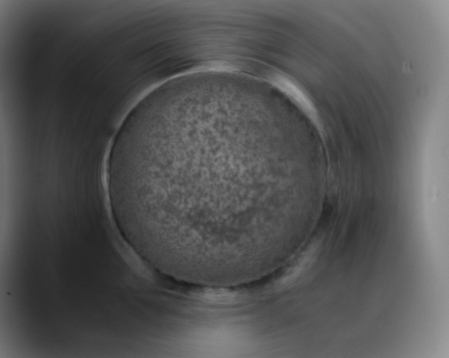 X0000089870907200707121752
