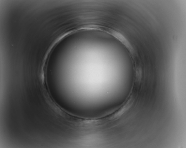 X0000089870908200707121752